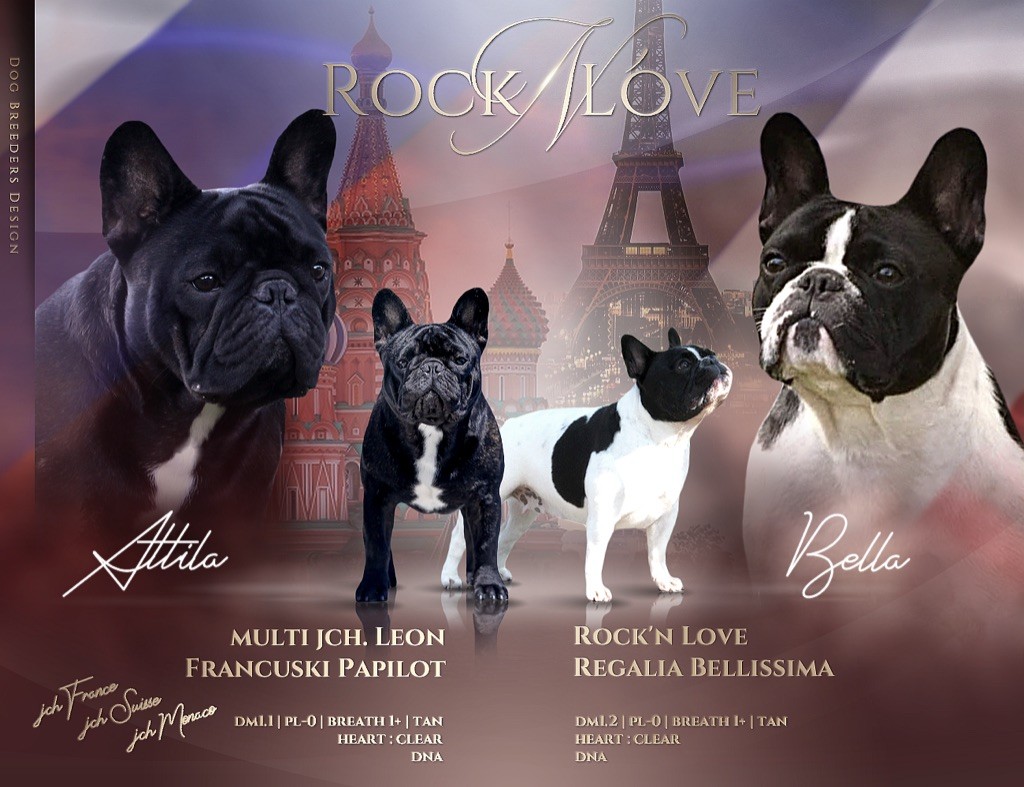 Rock'n Love - Les bébés sont nés !