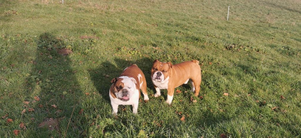 Rocket et Titan attendent un heureuse évènement 