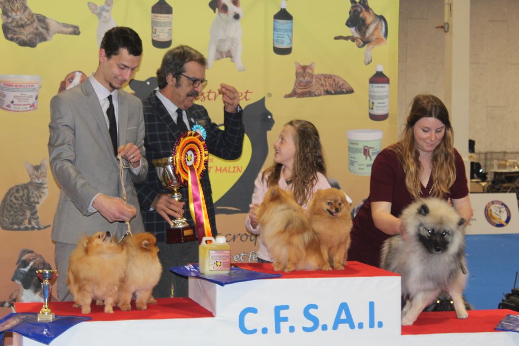 Lords of the Poms - Nationale d'élevage Angers 2019 Hugo et Mimoza Best In Show 2 Couple 