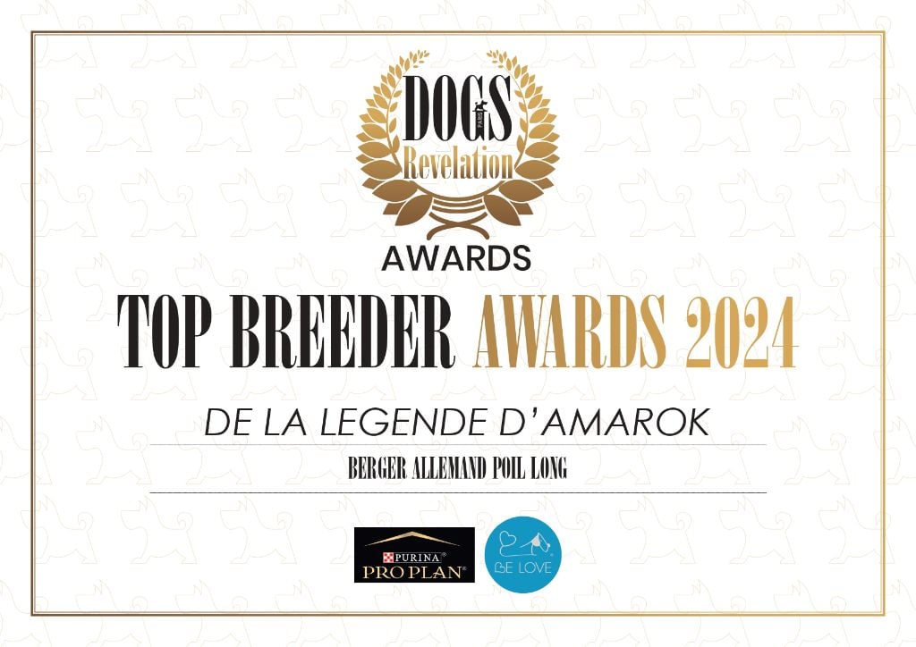 De La Légende D'Amarok - DOGS REVELATIONS AWARDS 2024