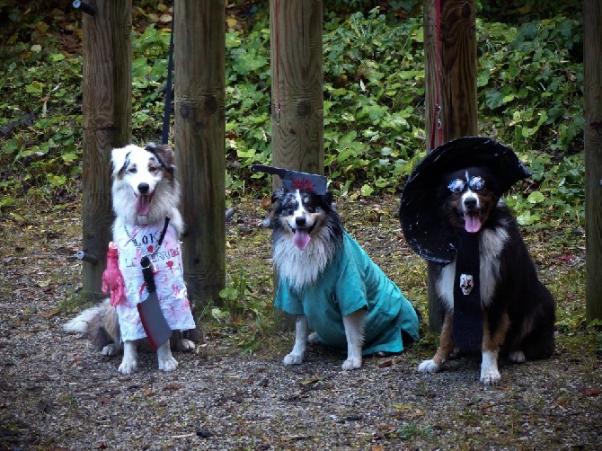 du Bois de Chantalouette - Halloween 2016