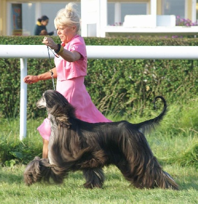 d'Hezaradjah - LE TOUQUET 20 ET 21 SEPTEMBRE : UN DOUBLE !