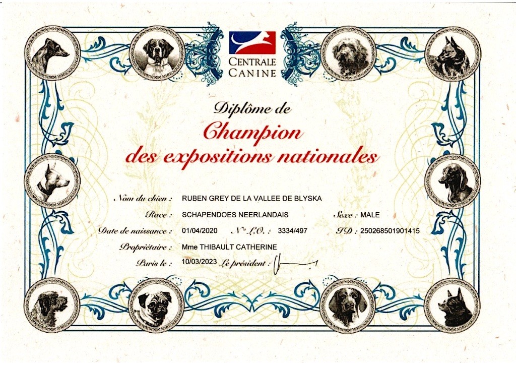 De La Vallee De Blyska - CHAMPION DES EXPOSITIONS NATIONALES