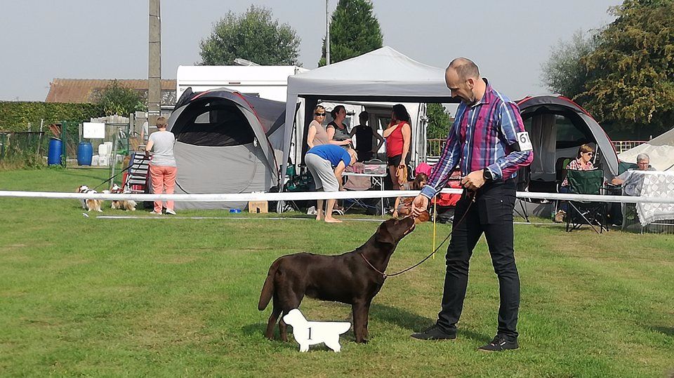 Du Grand Trianon - Meilleure Puppy Femelle - Will to Please Show