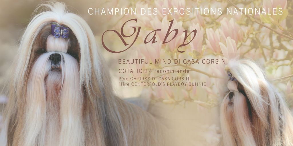 Gaby, Beautiful Mind di Casa Corsini devient Champion 