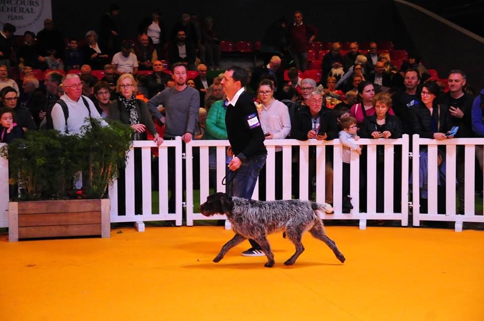 De La Vallée Celtique - Concours Général Agricole 2019