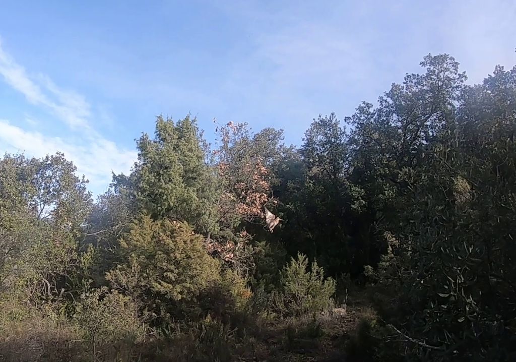 De La Source De Font Reynaude - Une nouvelle année....