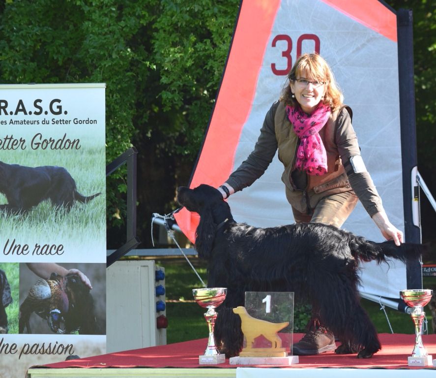 Du Manoir De Diane - DIVA  Meilleur Vétéran à la Nationale d'Elevage 2017