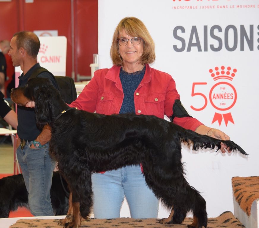 Du Manoir De Diane - Nikkita 2ème Meilleur Jeune du Groupe 7 à Compiègne