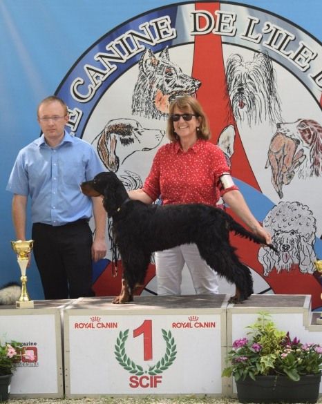 Du Manoir De Diane - Nikkita BEST IN SHOW PUPPY à Crécy-la-Châpelle