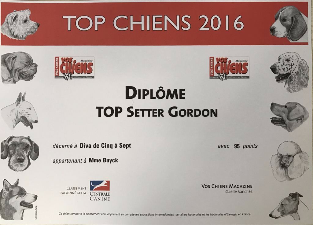 Du Manoir De Diane - TOP CHIENS 2016