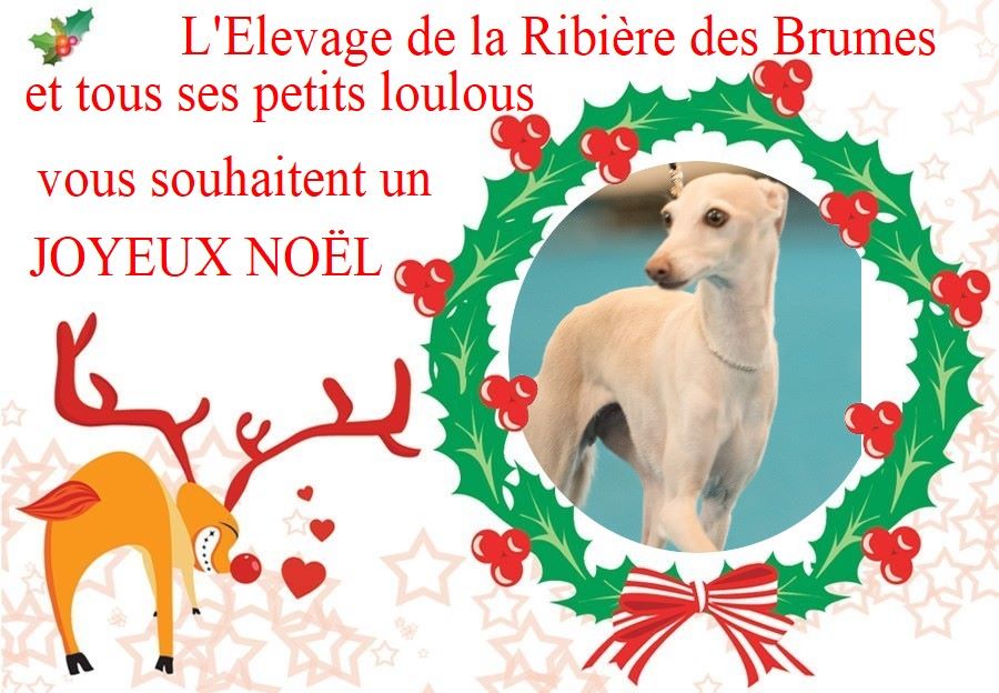 De La Ribière Des Brumes - JOYEUX NOËL