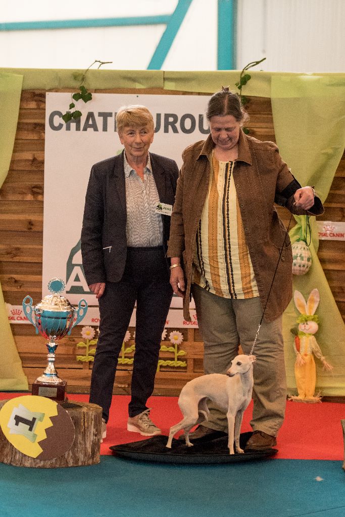 De La Ribière Des Brumes - Photo d'Oeuvre d'Art Best In Show Jeunes de Chateauroux