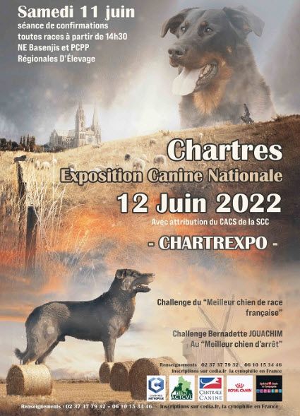 Du Paradis d'Urgo - Exposition canine de Chartres