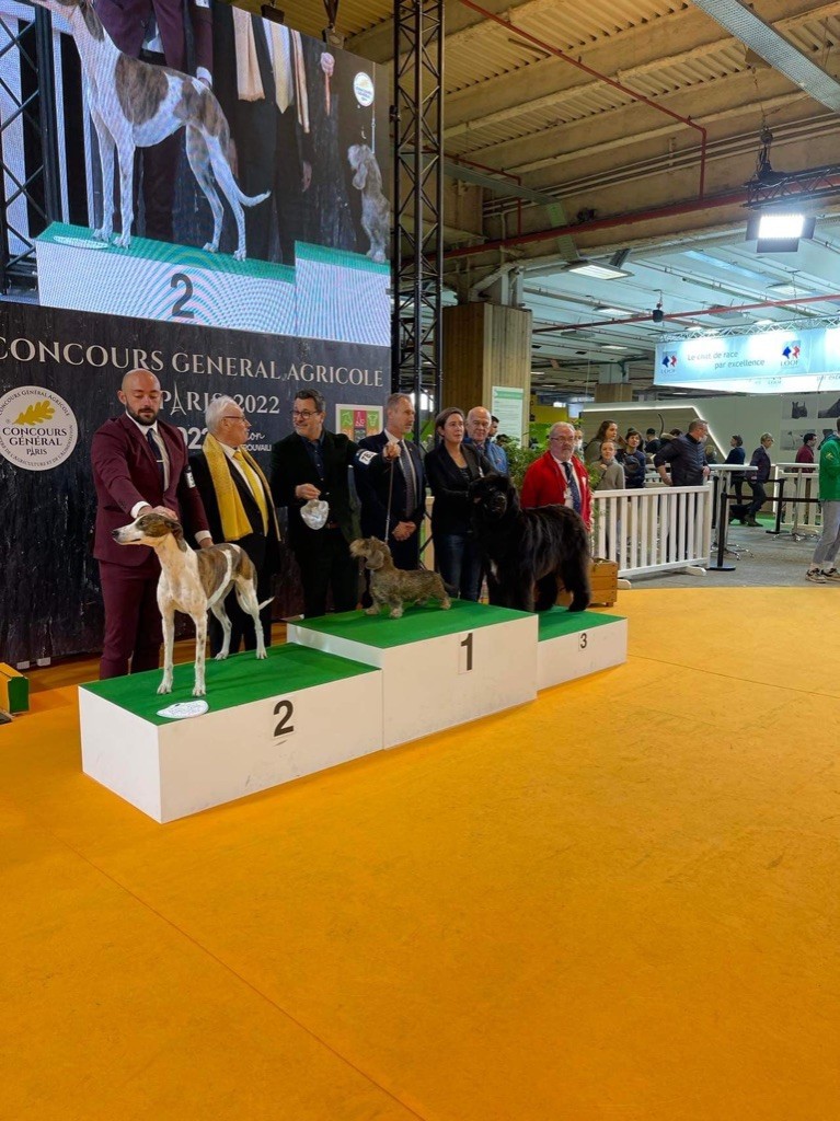 Du Broussis Des Chênes Rouges - iOupi 1er du Championnat au Concours Général 2022