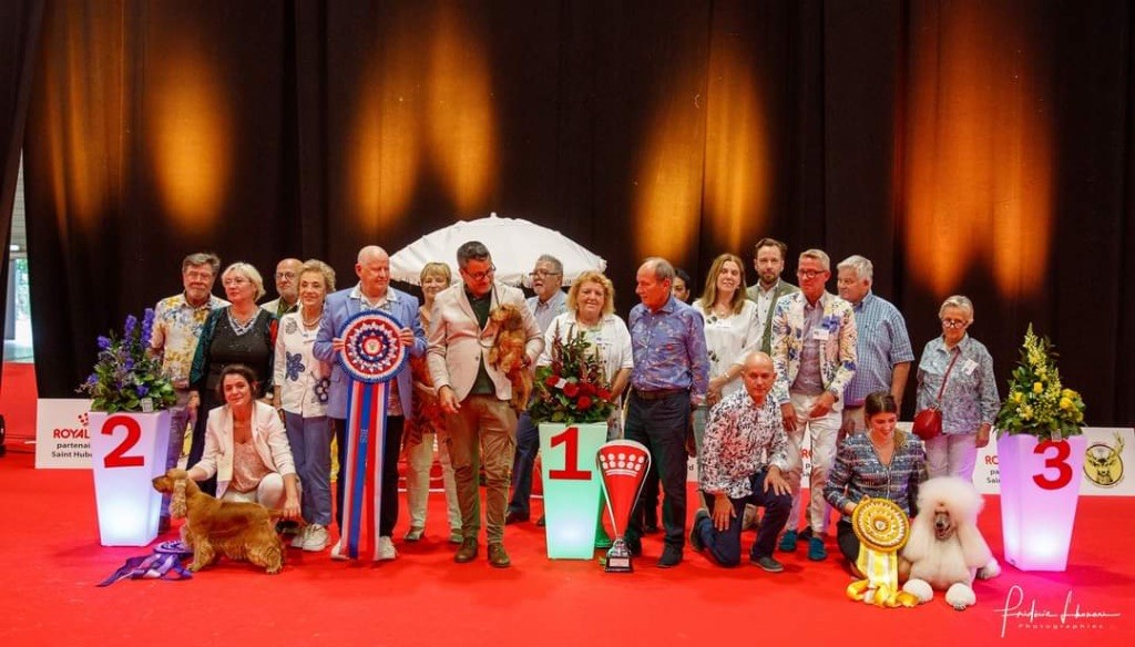 Du Broussis Des Chênes Rouges - El Rey, Best in Show à l'exposition de Douai 15 juillet 2023