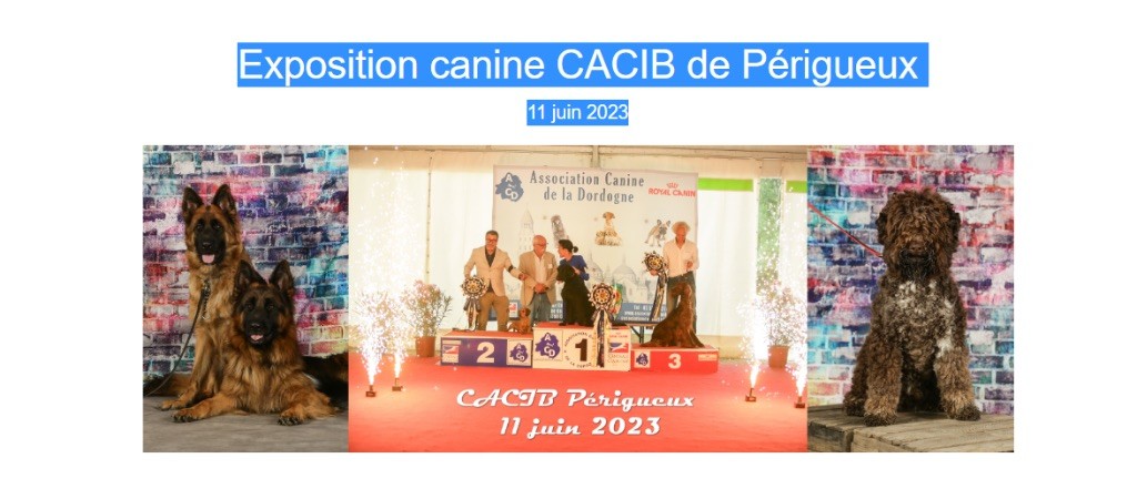 Du Broussis Des Chênes Rouges - Périgueux  CACIB 11 juin 2023 - El Rey 2ème du Best in Show