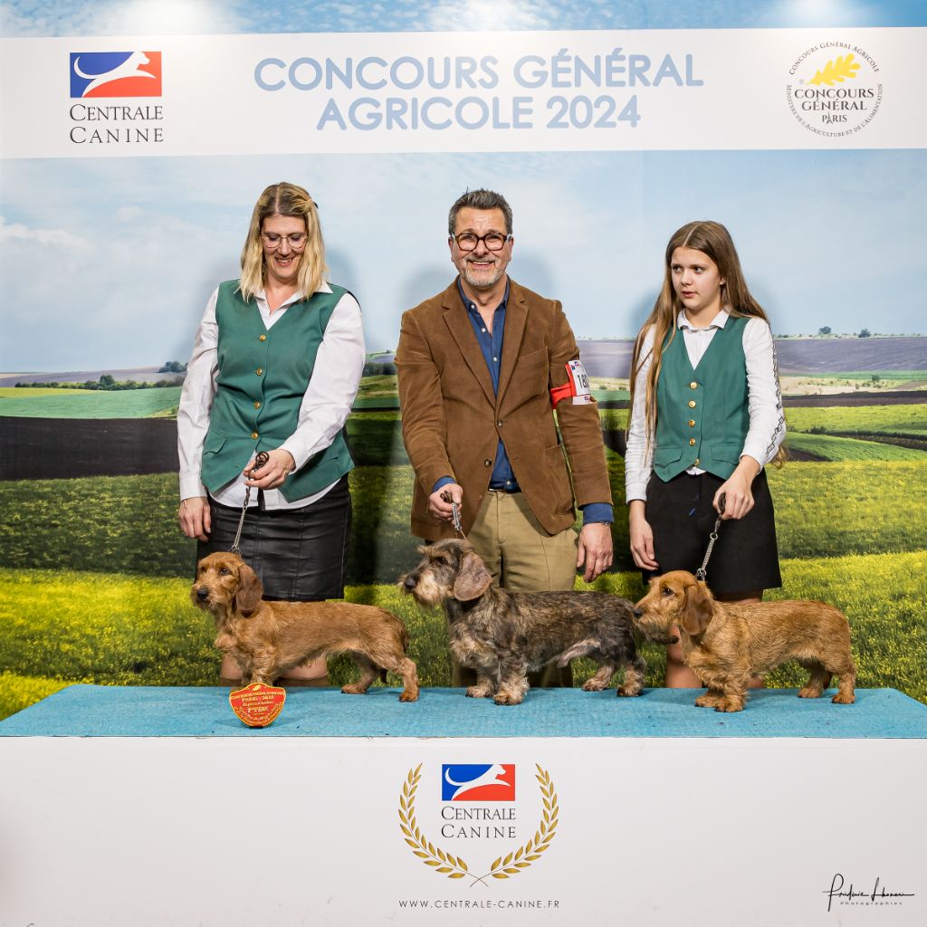 Concours Général Agricole 2024 - 2 médailles pour iOupi