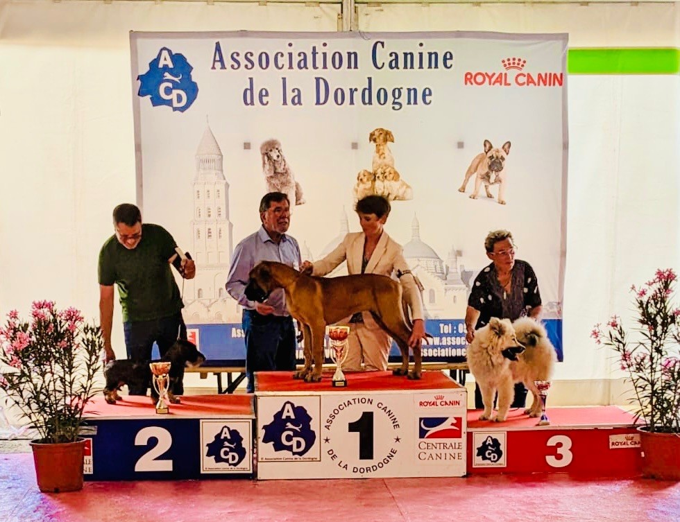 Du Broussis Des Chênes Rouges - Périgueux 10 juin 2023 - Sono Piu Bella BOG