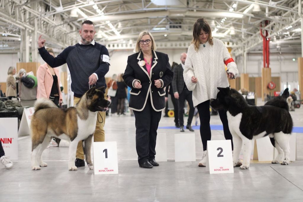 Krav Addict - PARIS DOG SHOW 2025