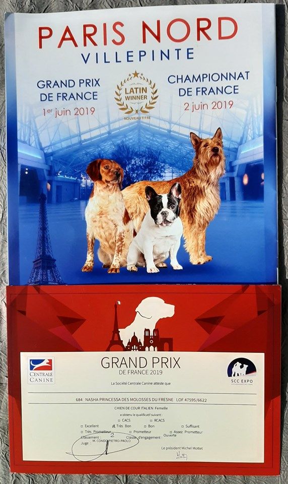 Des Molosses Du Fresne - - GRAND PRIX DE FRANCE - 01.06.2019 -