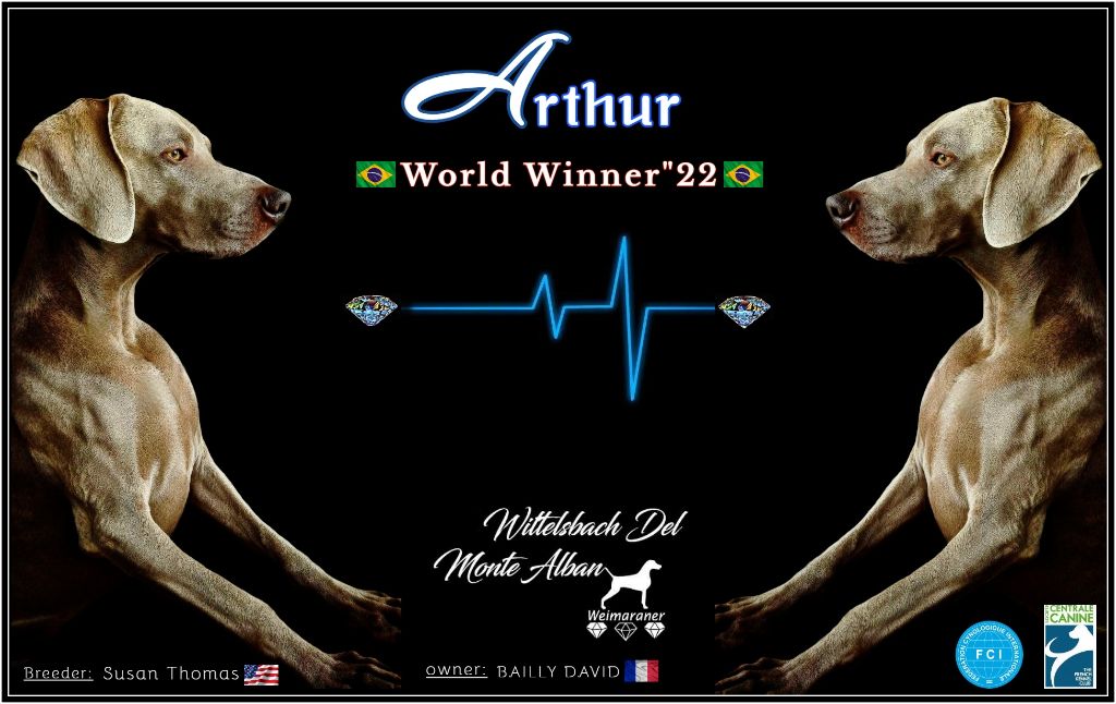 The Wittelsbach Del Monte Alban - " HAPPY BIRTHDAY "  ARTHUR !!!