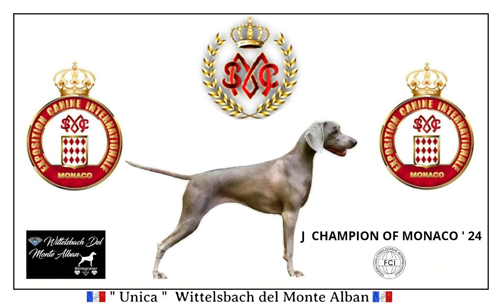 The Wittelsbach Del Monte Alban - "UNICA " J CHAMPIONNE DE MONACO ' 24 !!!