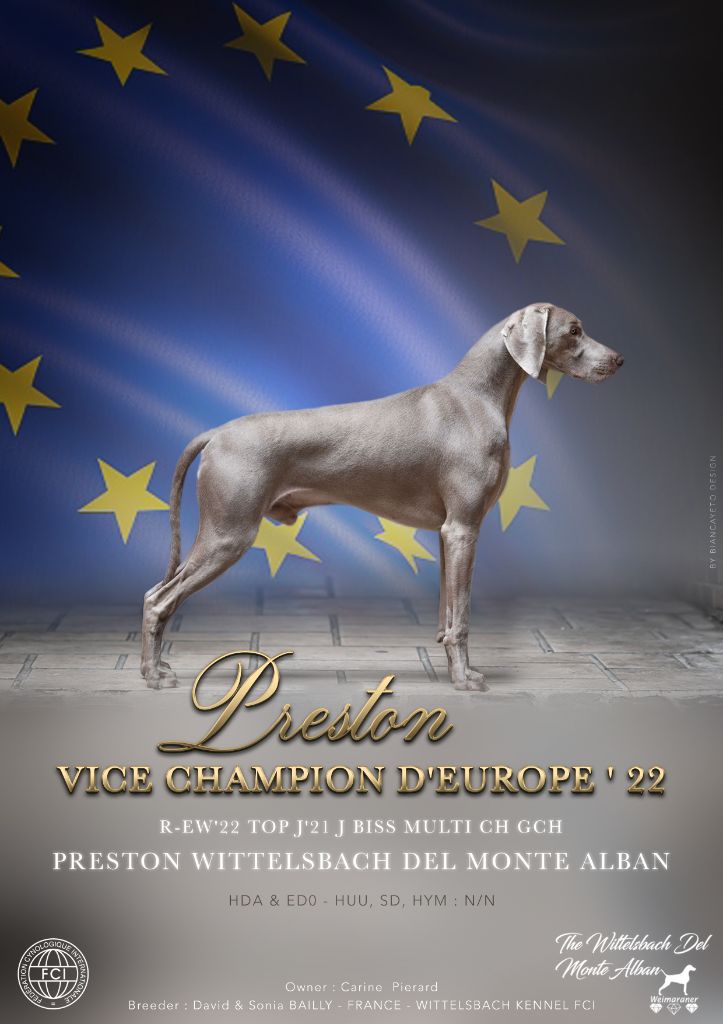 The Wittelsbach Del Monte Alban - " PRESTON " VICE - CHAMPION D'EUROPE 2022 !!!