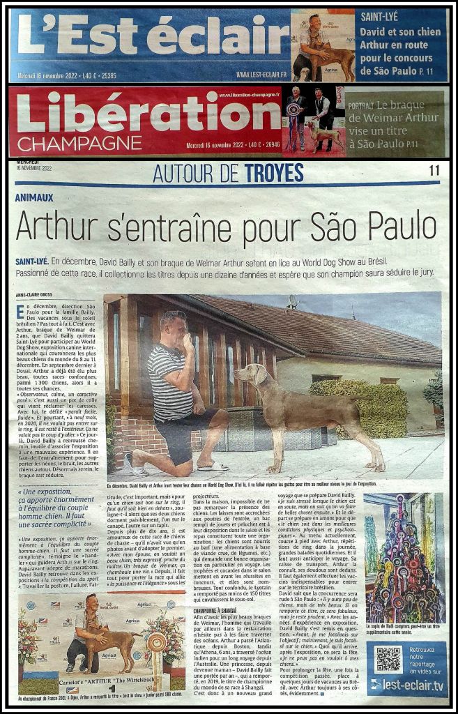 The Wittelsbach Del Monte Alban - " ARTHUR " au WDS "22 de SAO POLO !!!!