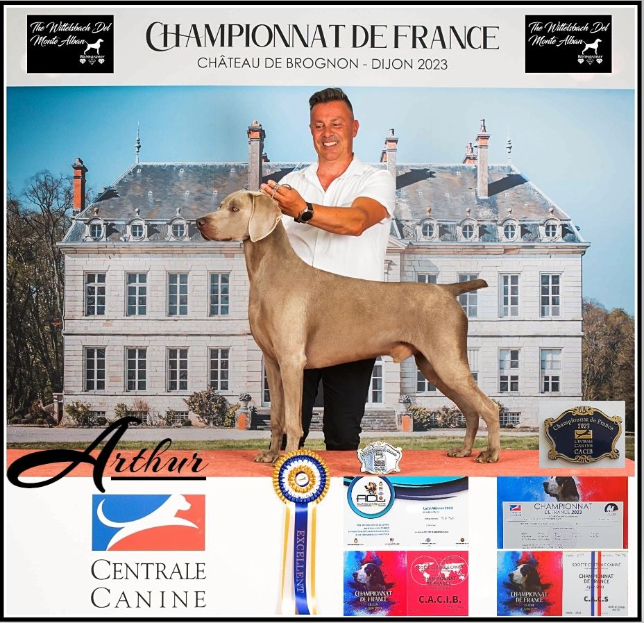 The Wittelsbach Del Monte Alban - " ARTHUR " FR'23 au Championnat de France !!!