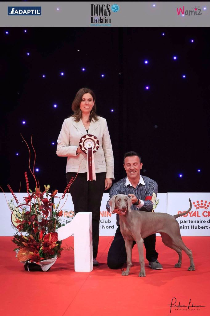 The Wittelsbach Del Monte Alban - "ATHENA " BEST-IN-SHOW PUPPY !!!