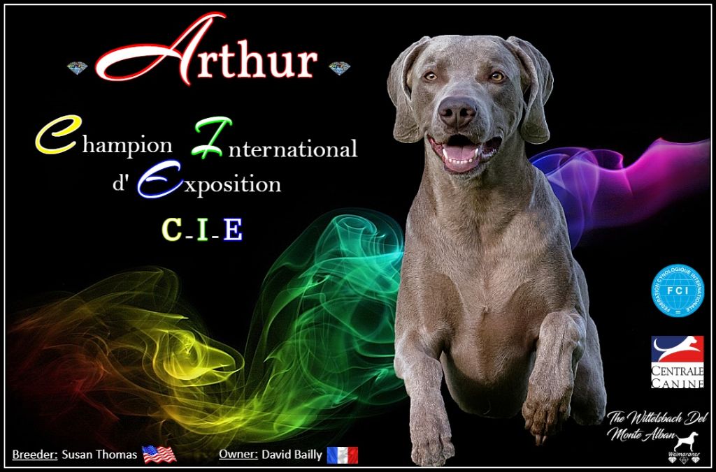 The Wittelsbach Del Monte Alban - " ARTHUR " CHAMPION C.I.E !!!!