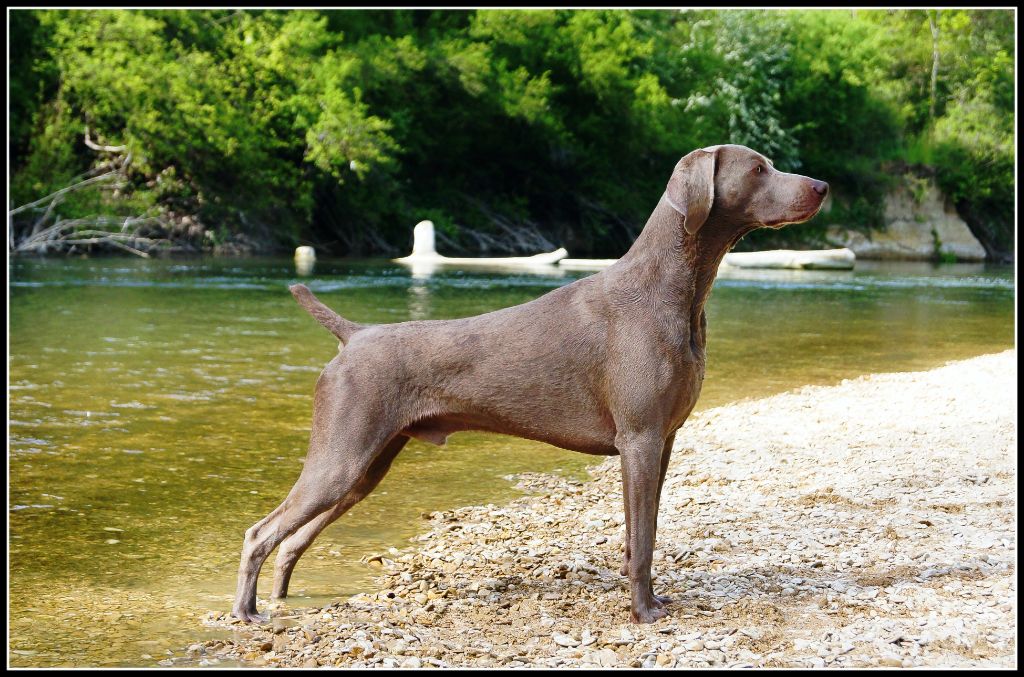 The Wittelsbach Del Monte Alban - " ARTHUR " sur le bord de seine ...