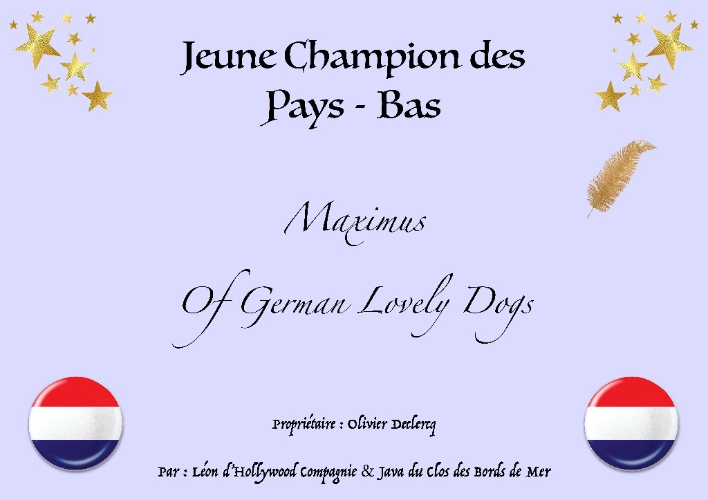 Of German Lovely Dogs - Un autre titre !