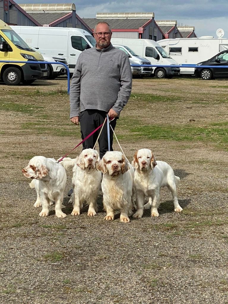 De La Croix Des Bruyeres - Nationale d'Elevage du Spaniel Club Français - 18/03/2023