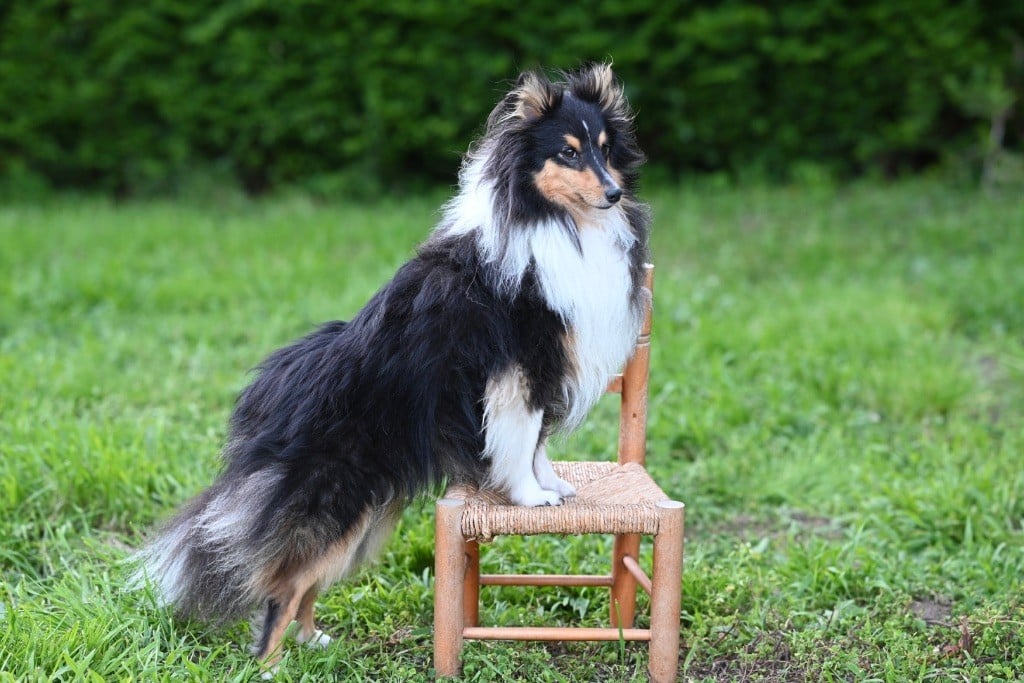 Jackie-Lou vous invite à échanger avec nous !