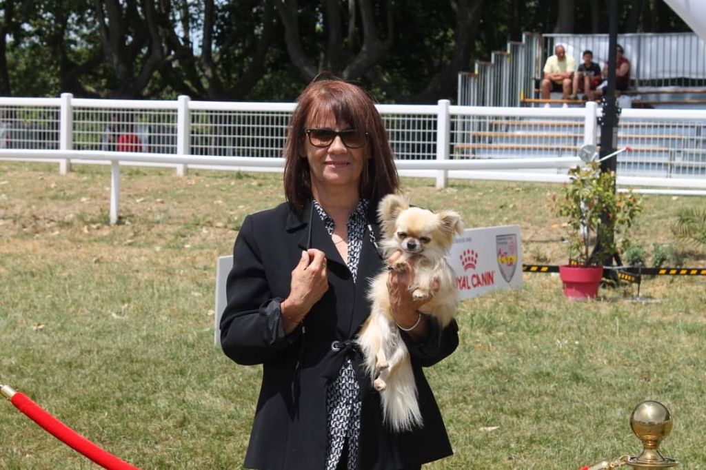 du domaine du neoulous - Exposition canine de Carcassonne 2022