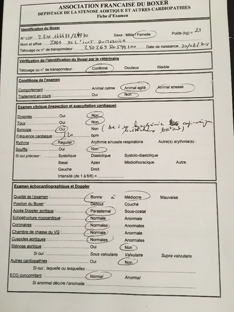 résultat dépistage de la sténose aortique et autre cardiopathie 