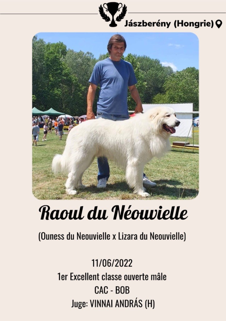 Du neouvielle - Résultat exposition Hongrie 