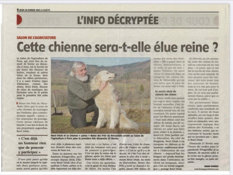 Du neouvielle - Article presse