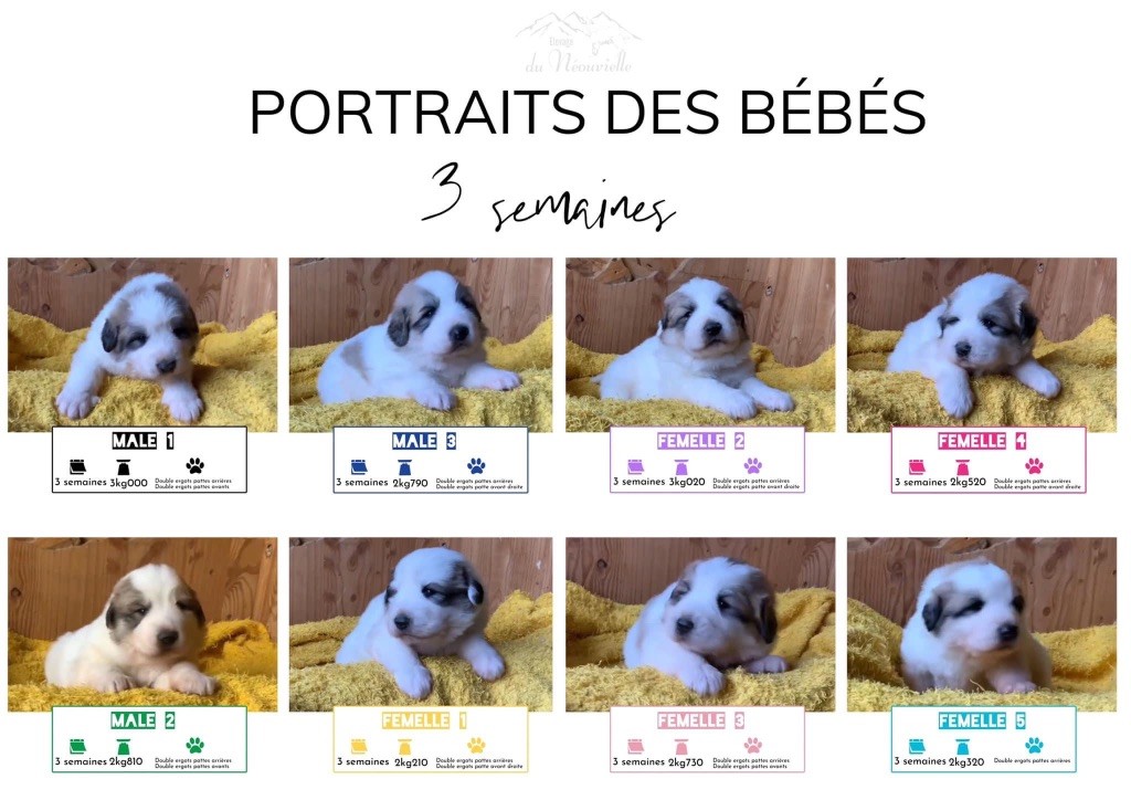 Du neouvielle - Portraits des bébés à 3 semaines 