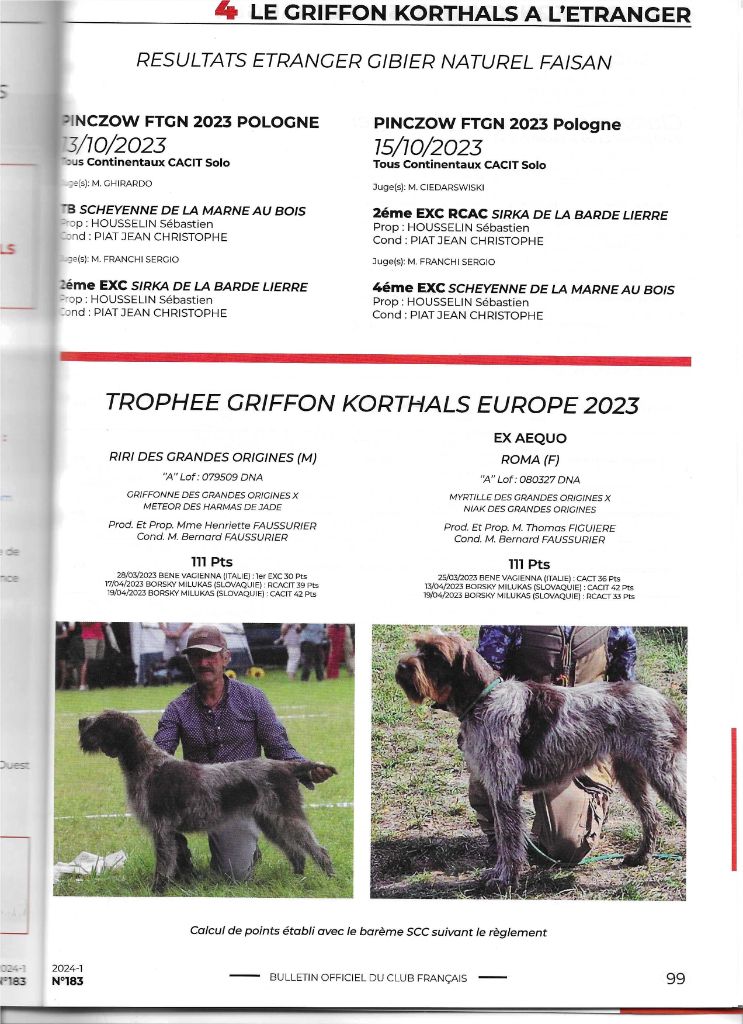 Des grandes origines - un bel article dans le bulletin du club du griffon korthals