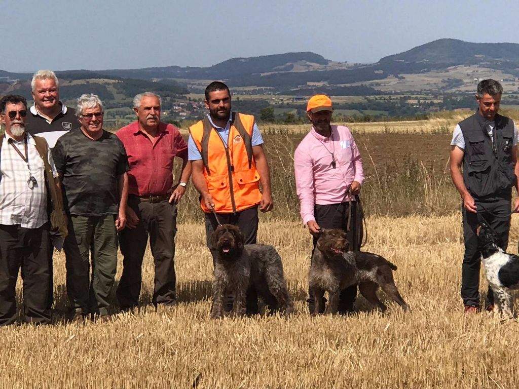 Des grandes origines - RCACIT au field du puy pour Jack des grandes origines