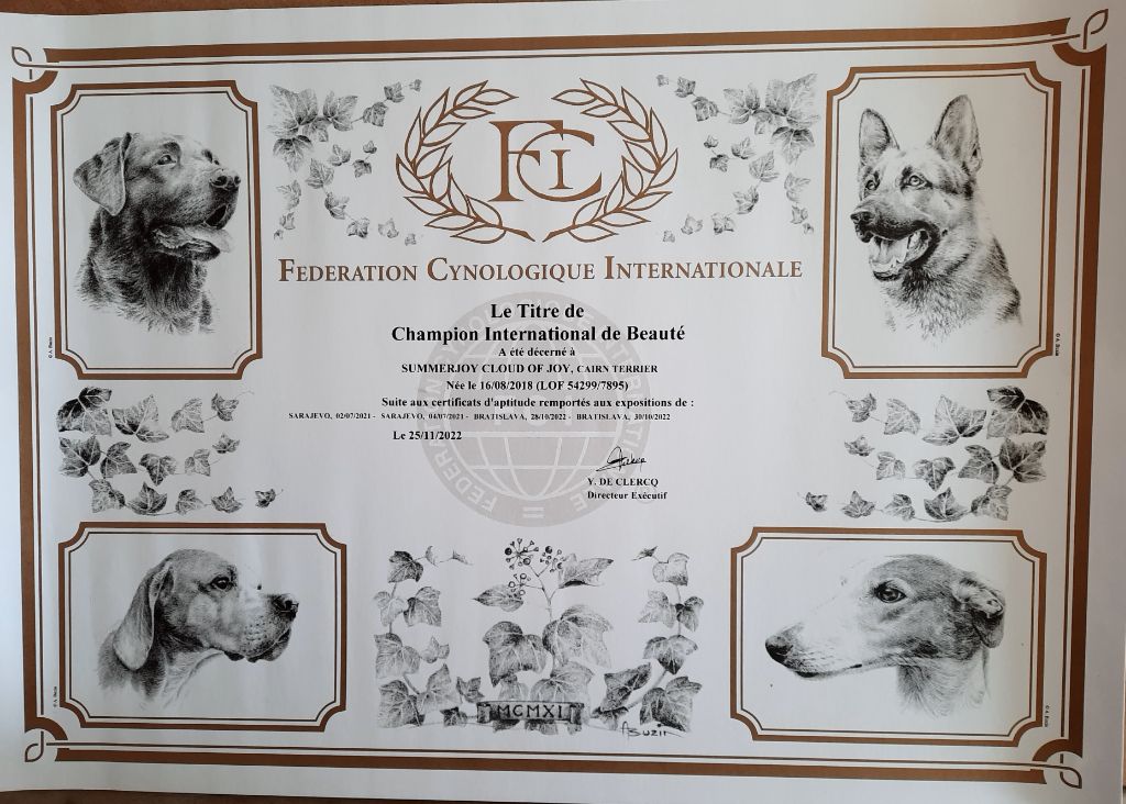 Du Cercle Des Enchanteurs - Summerjoy championne internationale de beauté 