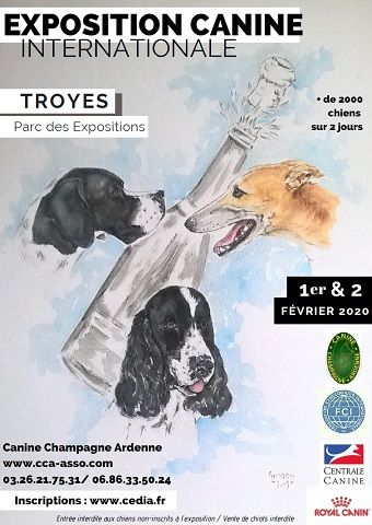 De La Terre Des Bulls - exposition Troyes