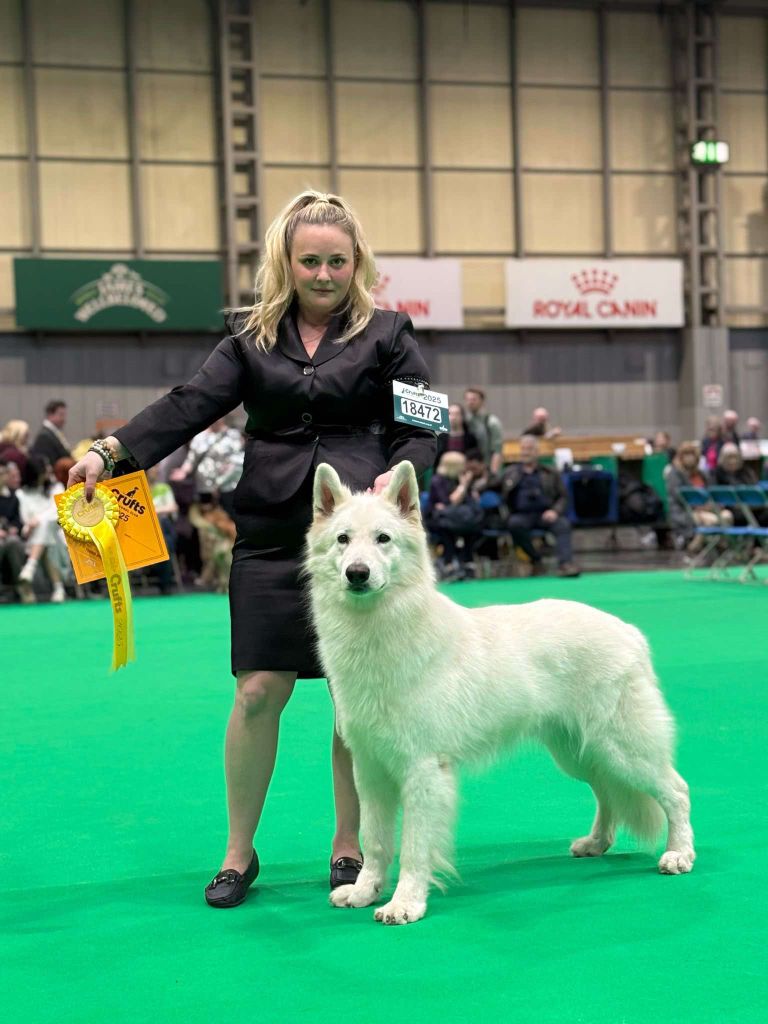 De La Niche De Kristal - Retour de la plus grande exposition au monde la CRUFTS !!!