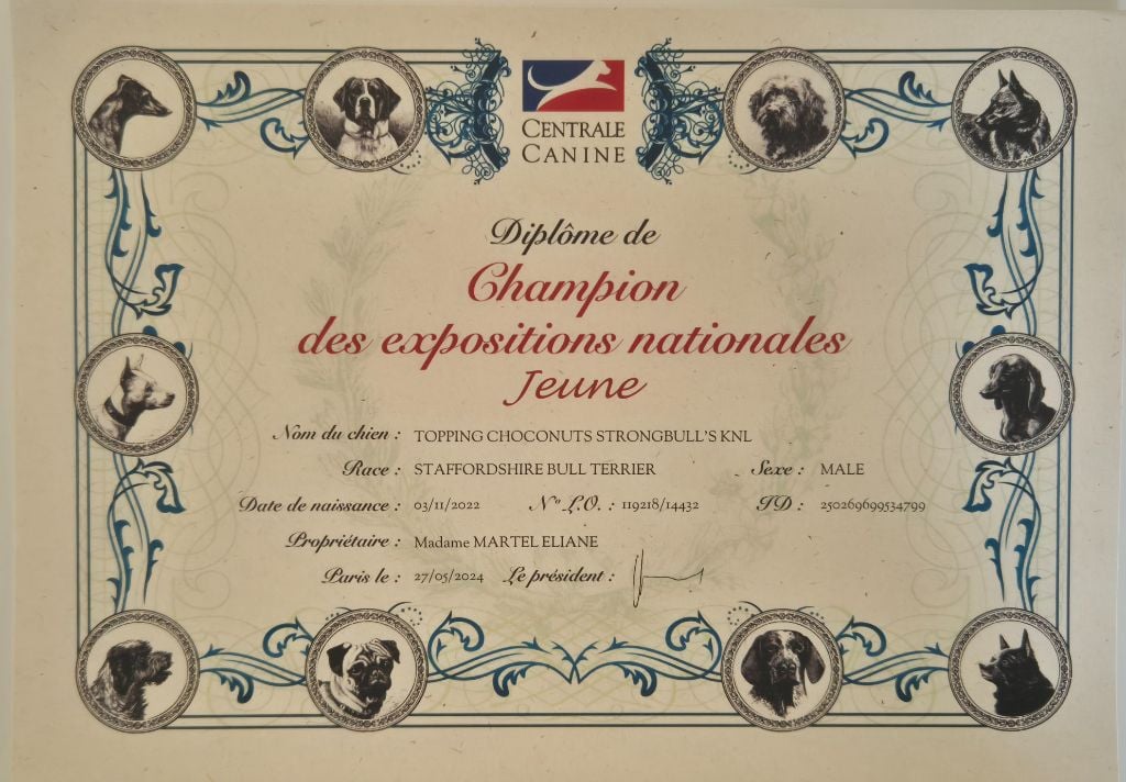 Winter's Roses - Champion des expositions nationales jeune ?pour notre nuts