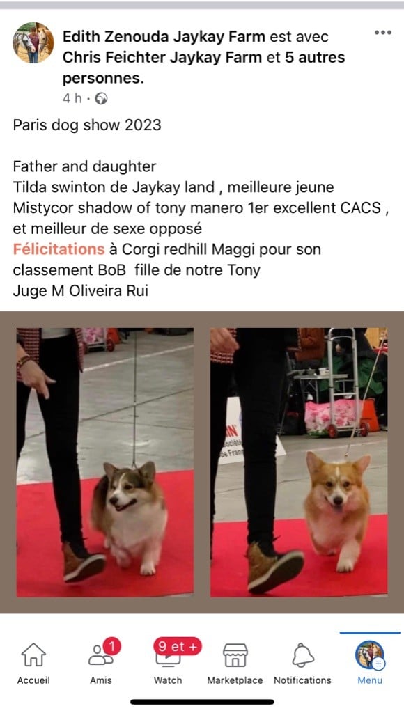 De Jaykay Land - PARIS DOG SHOW LE BOURGET 7 JANVIER 2023