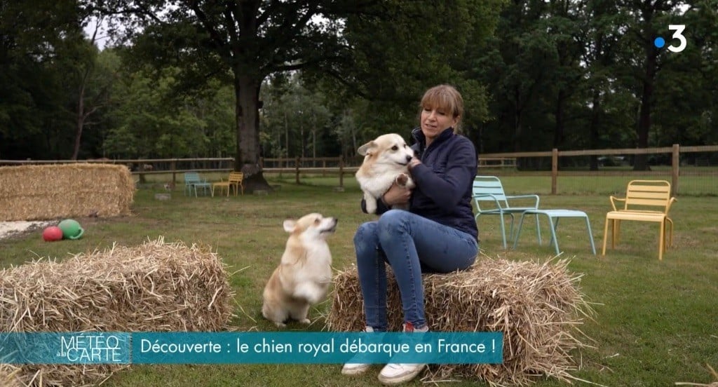 De Jaykay Land - Le corgi à l'honneur sur France 3