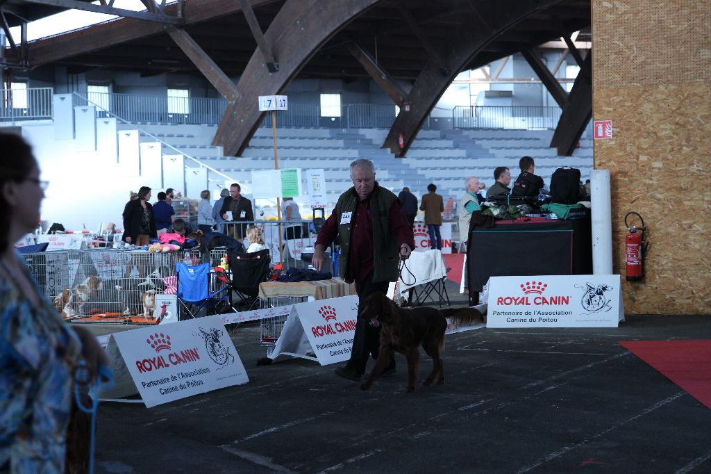 Des Bords Du Clain - EXPOSITION INTERNATIONALE POITIERS CACS CACIB